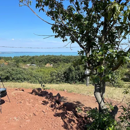 Panorama Balaton Balatonalmádi